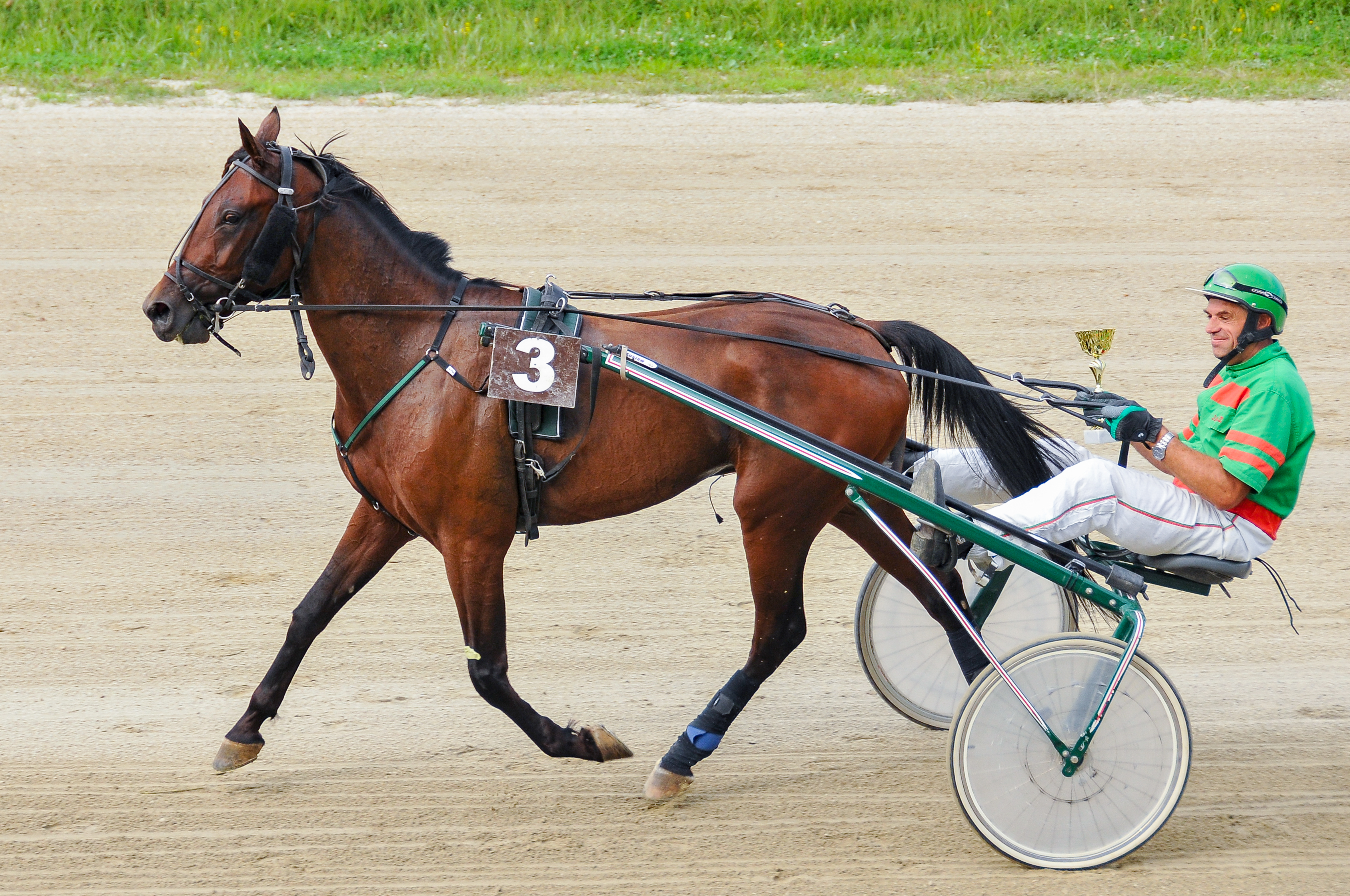 Foto/Photo: Jošt Dolinšek